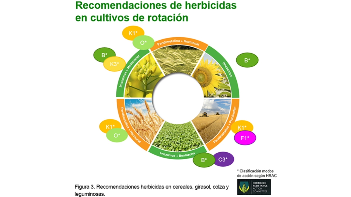 Rotación De Herbicidas Y Sus Beneficios