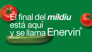 Enervin® SC