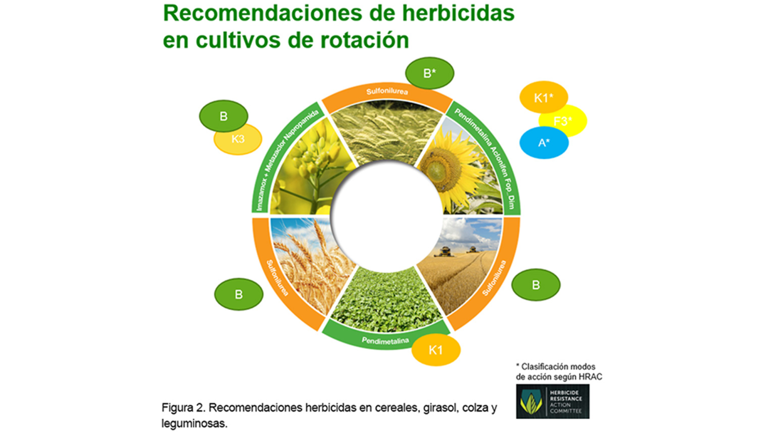 Rotación De Herbicidas Y Sus Beneficios