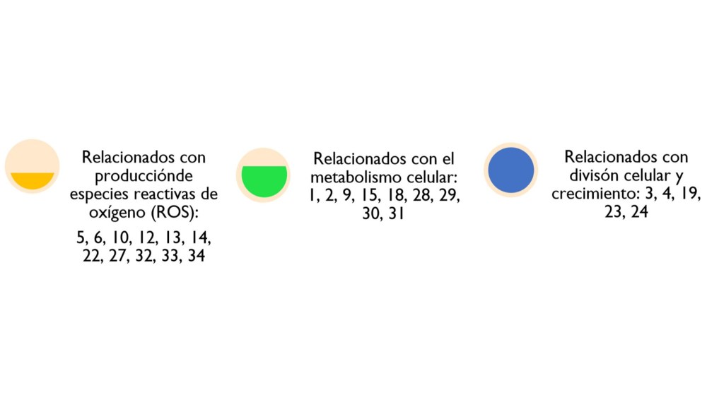 Conoce El Mecanismo De Acción De Un Herbicida