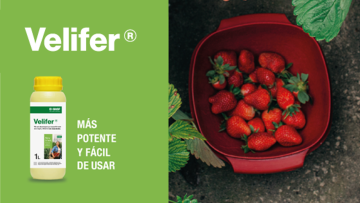 Velifer®, bio Y eficaz